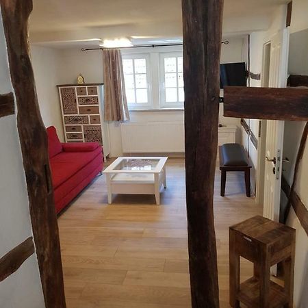 Zauberhafte Wohnung In Der Naehe Von Heidelberg, Top Lage 히르슈호른 외부 사진