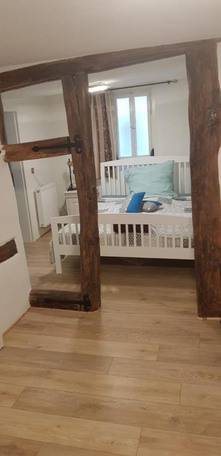 Zauberhafte Wohnung In Der Naehe Von Heidelberg, Top Lage 히르슈호른 외부 사진