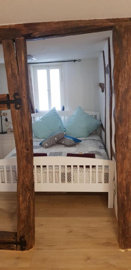 Zauberhafte Wohnung In Der Naehe Von Heidelberg, Top Lage 히르슈호른 외부 사진