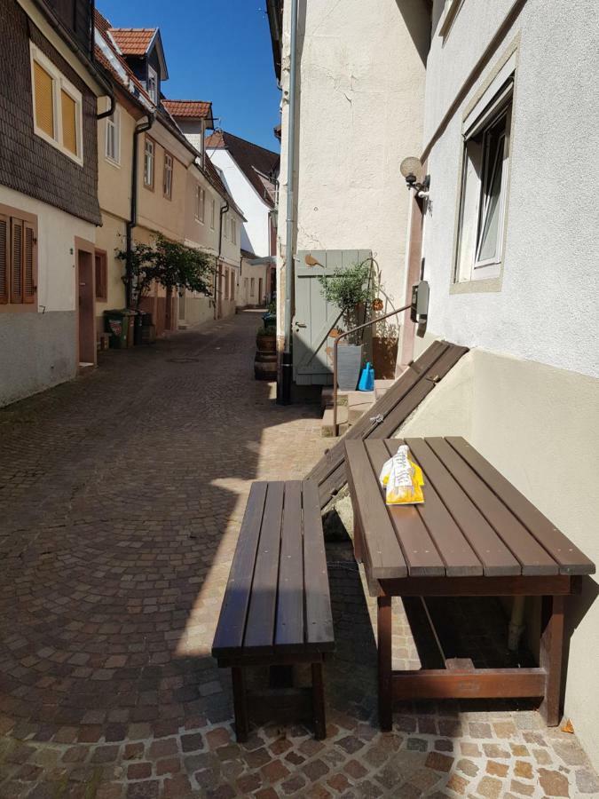 Zauberhafte Wohnung In Der Naehe Von Heidelberg, Top Lage 히르슈호른 외부 사진