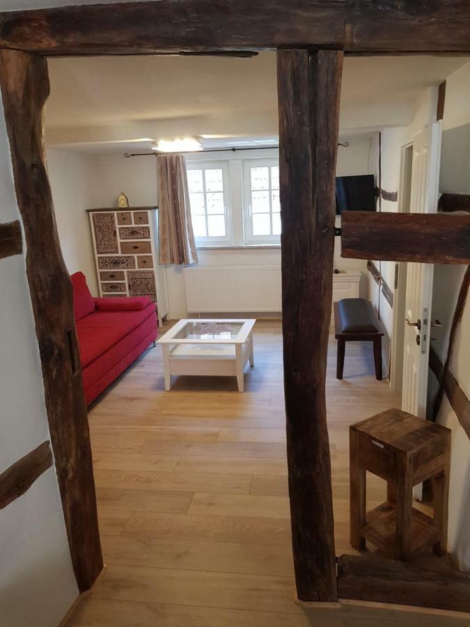 Zauberhafte Wohnung In Der Naehe Von Heidelberg, Top Lage 히르슈호른 외부 사진