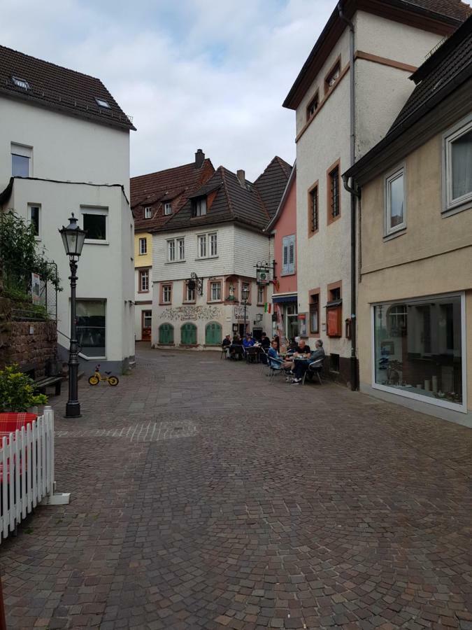 Zauberhafte Wohnung In Der Naehe Von Heidelberg, Top Lage 히르슈호른 외부 사진