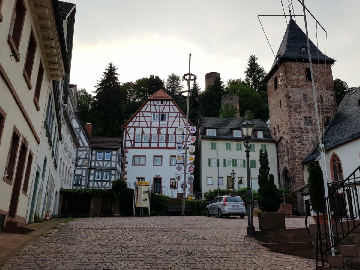 Zauberhafte Wohnung In Der Naehe Von Heidelberg, Top Lage 히르슈호른 외부 사진