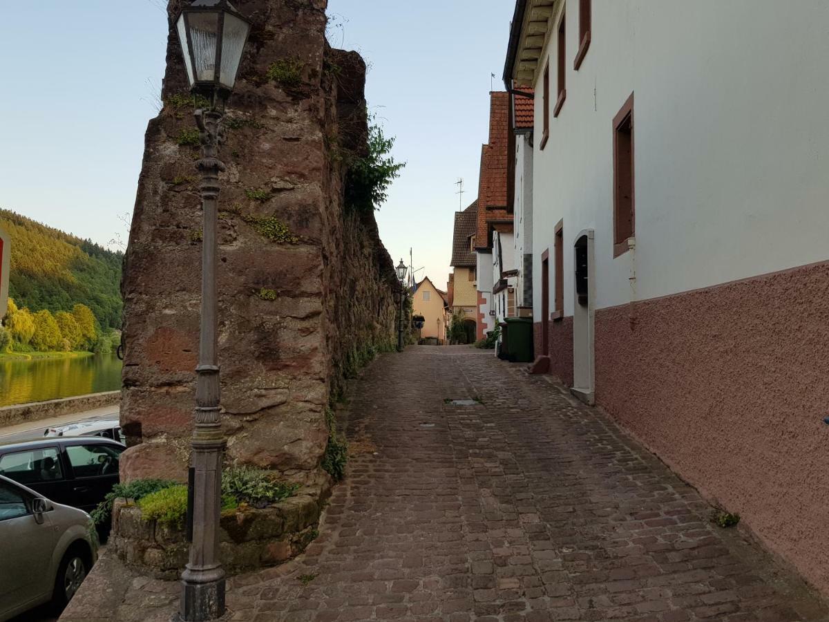Zauberhafte Wohnung In Der Naehe Von Heidelberg, Top Lage 히르슈호른 외부 사진