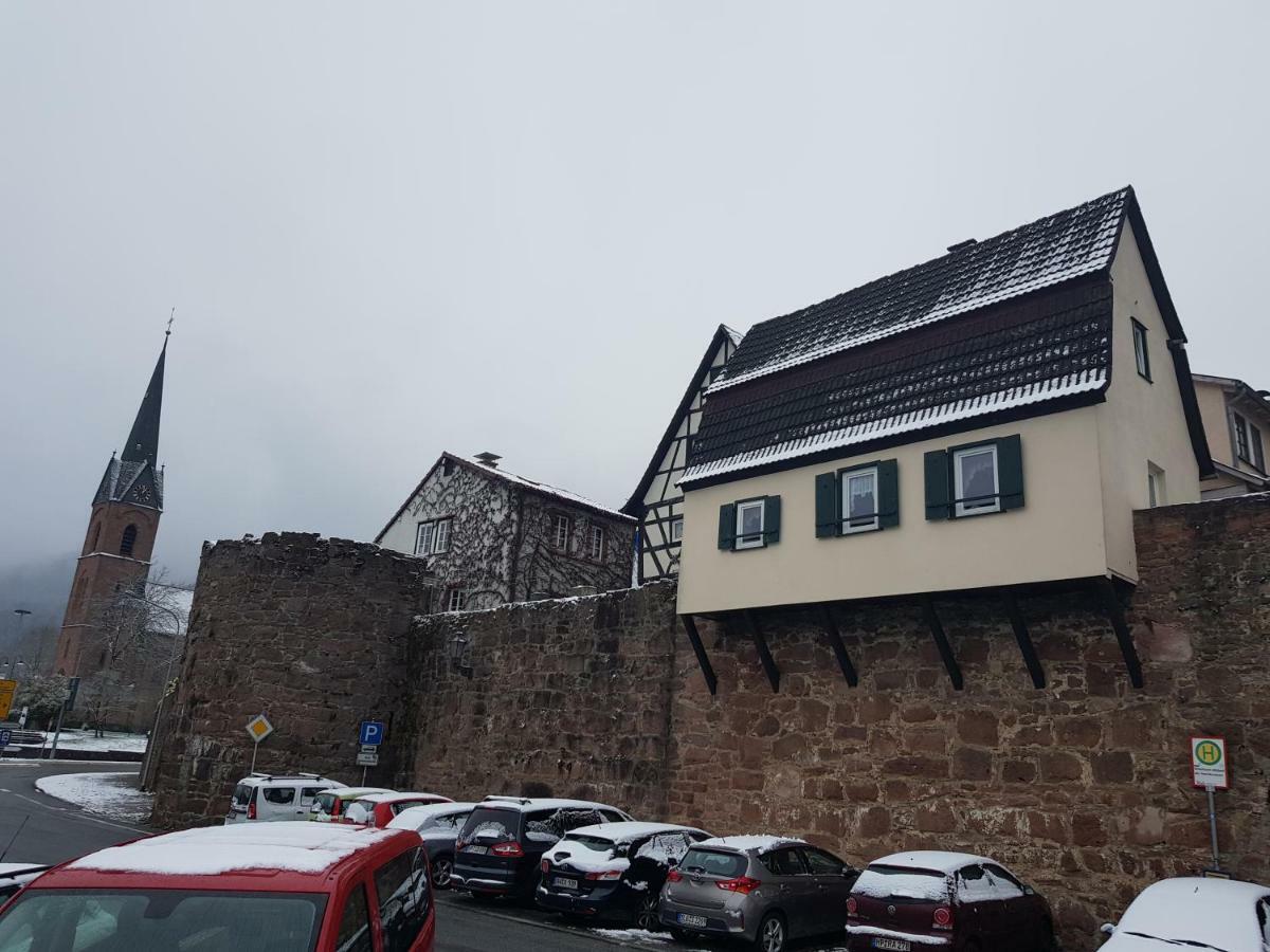 Zauberhafte Wohnung In Der Naehe Von Heidelberg, Top Lage 히르슈호른 외부 사진