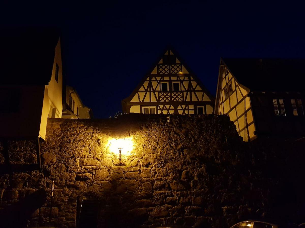 Zauberhafte Wohnung In Der Naehe Von Heidelberg, Top Lage 히르슈호른 외부 사진