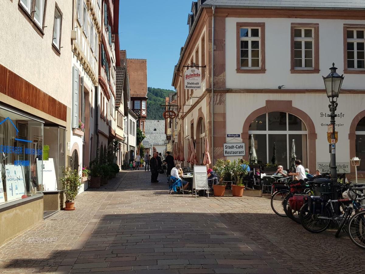 Zauberhafte Wohnung In Der Naehe Von Heidelberg, Top Lage 히르슈호른 외부 사진
