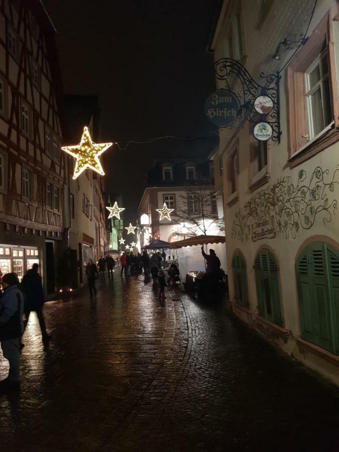 Zauberhafte Wohnung In Der Naehe Von Heidelberg, Top Lage 히르슈호른 외부 사진
