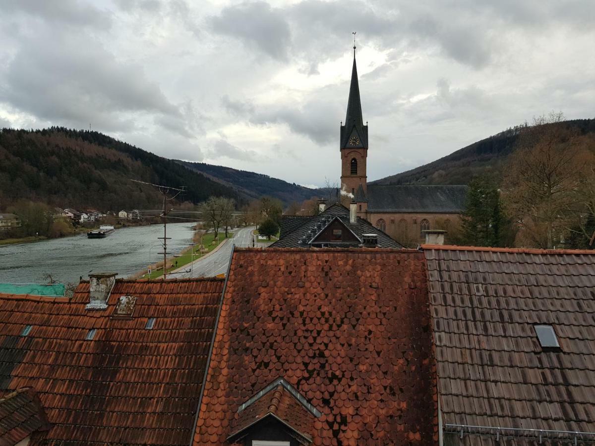 Zauberhafte Wohnung In Der Naehe Von Heidelberg, Top Lage 히르슈호른 외부 사진