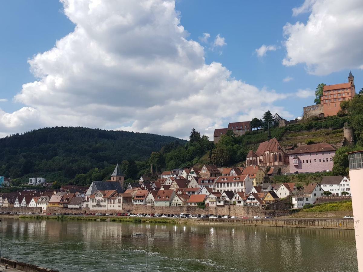 Zauberhafte Wohnung In Der Naehe Von Heidelberg, Top Lage 히르슈호른 외부 사진