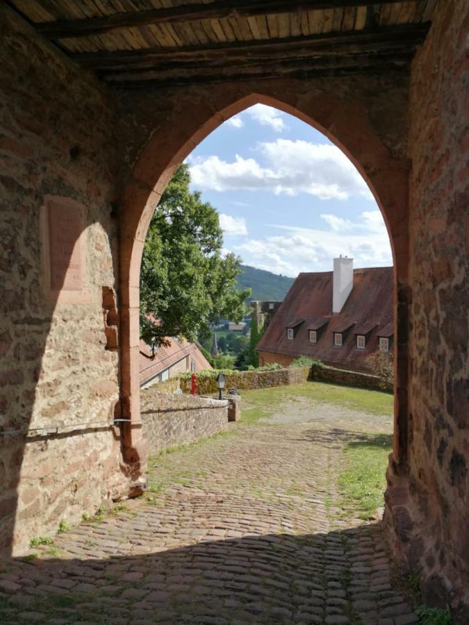 Zauberhafte Wohnung In Der Naehe Von Heidelberg, Top Lage 히르슈호른 외부 사진