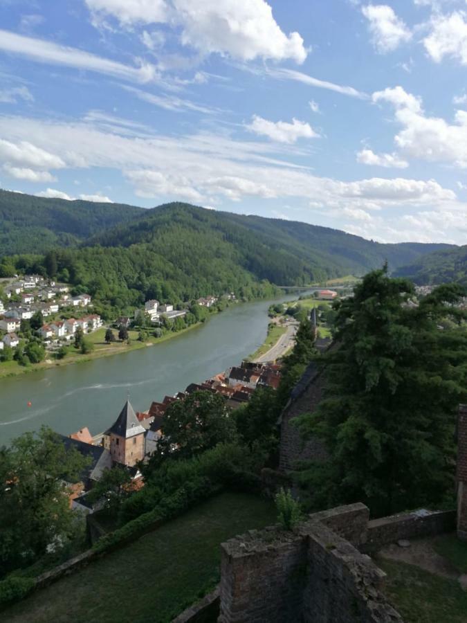 Zauberhafte Wohnung In Der Naehe Von Heidelberg, Top Lage 히르슈호른 외부 사진