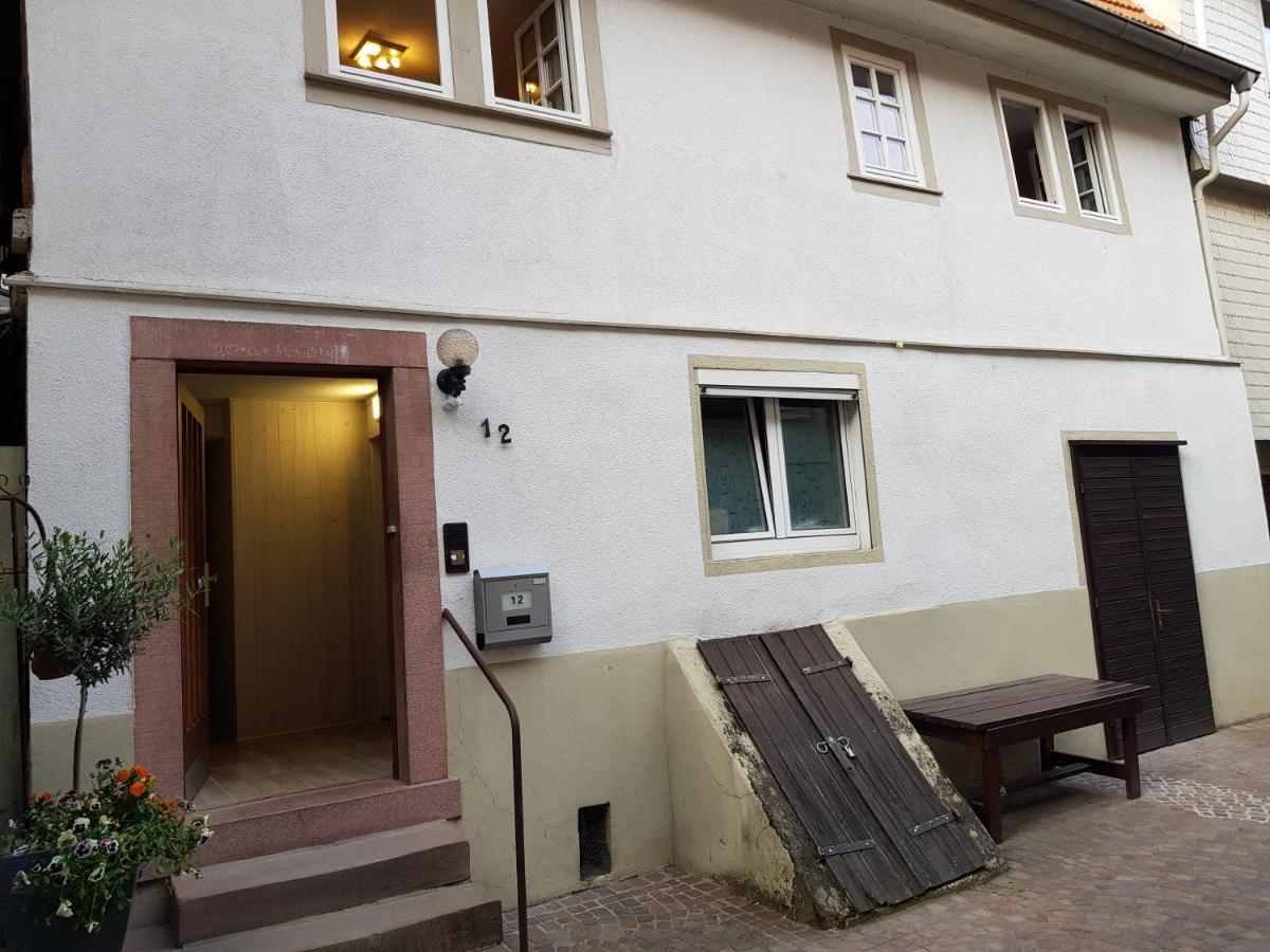 Zauberhafte Wohnung In Der Naehe Von Heidelberg, Top Lage 히르슈호른 외부 사진