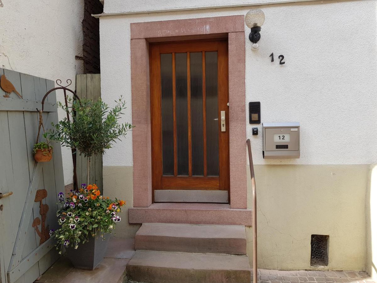 Zauberhafte Wohnung In Der Naehe Von Heidelberg, Top Lage 히르슈호른 외부 사진
