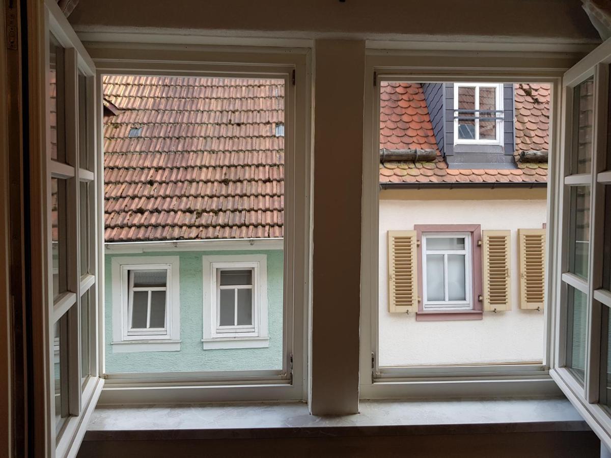 Zauberhafte Wohnung In Der Naehe Von Heidelberg, Top Lage 히르슈호른 외부 사진